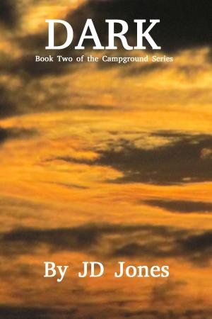 Cover of the book Dark by Kiersten Fay