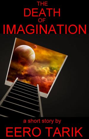 Book cover of The Death of Imagination