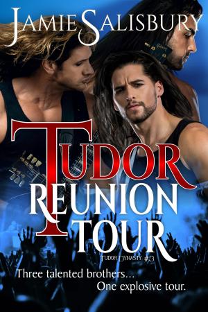 Book cover of Tudor Reunion Tour