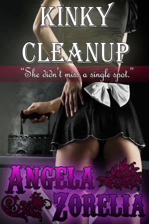 Cover of the book Kinky Cleanup by Emma Ashe
