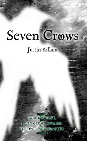 Cover of the book Seven Crows by Karen Sandler