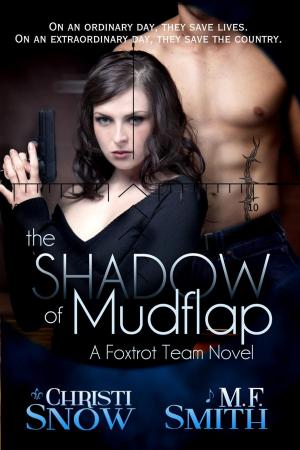 Book cover of The Shadow of Mudflap