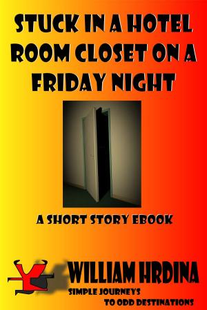 Book cover of Stuck in a Hotel Room Closet on a Friday Night