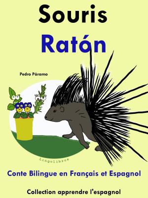 Book cover of Conte Bilingue en Français et Espagnol: Souris - Ratón. Collection apprendre l'espagnol.
