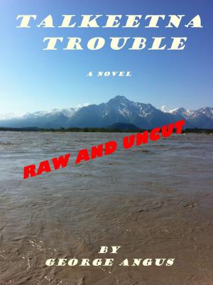 Cover of the book Talkeetna Trouble by David R. George III, Una McCormack