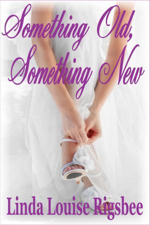 Cover of the book Something Old, Something New by Linda Louise Rigsbee