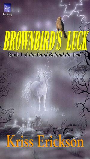 Cover of the book Brownbird's Luck by G.J. Robbins