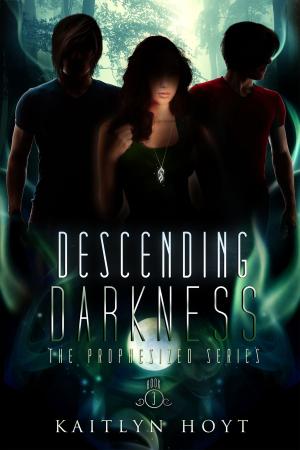 Cover of Descending Darkness