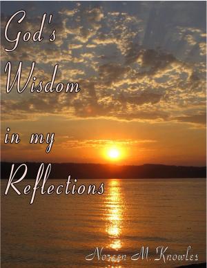 bigCover of the book God's Wisdon in My Reflections by 