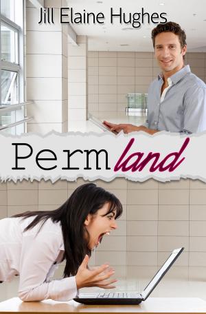 bigCover of the book Permland by 