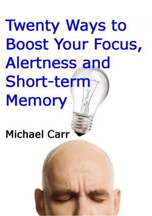 Cover of the book Twenty Ways to Boost Your Focus, Alertness and Short-term Memory by Lindsey Hall