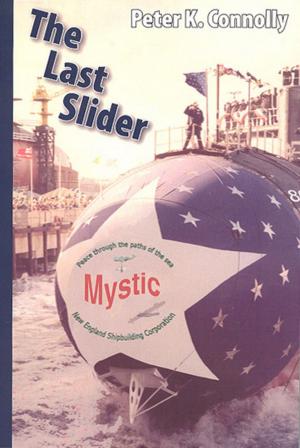 Cover of the book The Last Slider by Chris Kennedy