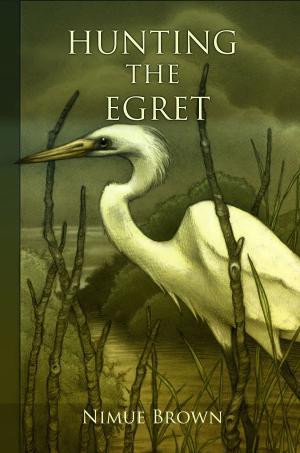 Cover of the book Hunting the Egret by HD March