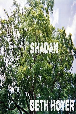 Cover of the book Shadan by Steve Calvert