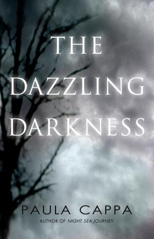 Book cover of The Dazzling Darkness