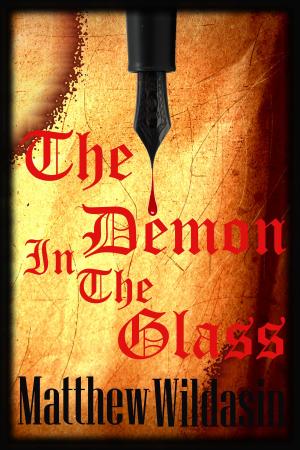 Cover of the book The Demon In The Glass by Hollis Seamon