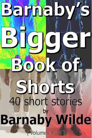 Cover of the book Barnaby's Bigger Book of Shorts by R E Rice