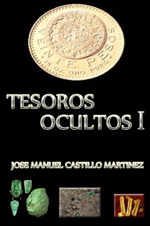 Cover of the book Tesoros Ocultos I by Jason Daniels