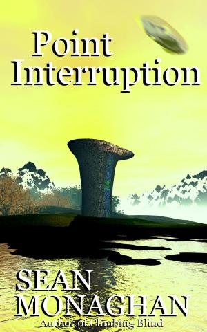 Cover of the book Point Interruption by Sean Monaghan