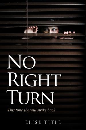 Cover of the book Retro Romance presents... No Right Turn by Michelle Lynn