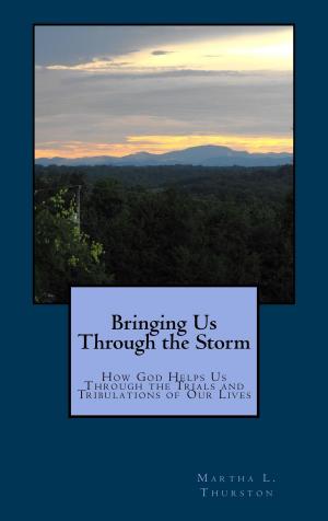 Book cover of Bringing Us Through the Storm