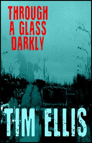 Book cover of Through a Glass Darkly (P&R10)
