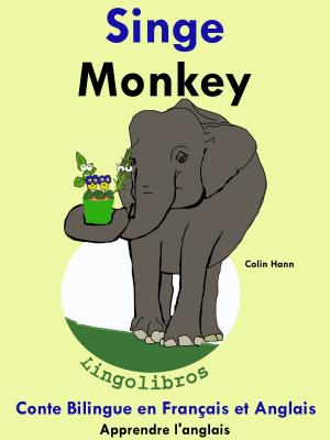 Book cover of Conte Bilingue en Français et Anglais: Singe - Monkey