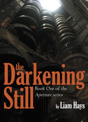 Cover of the book The Darkening Still by David Burton