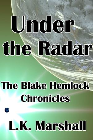 Cover of the book Under the Radar: The Blake Hemlock Chronicles by Litl'Book, Sandra Léo