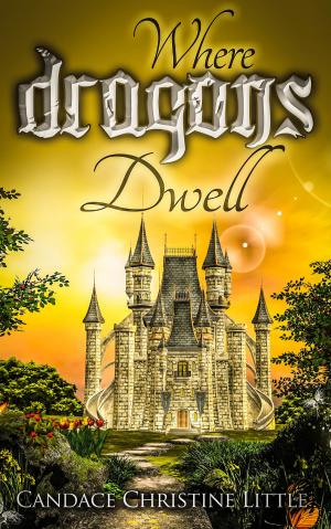 Book cover of Where Dragons Dwell