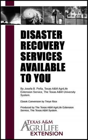 Cover of the book Disaster Recovery Services Available to You by Darin Jewell, Conrad Jones