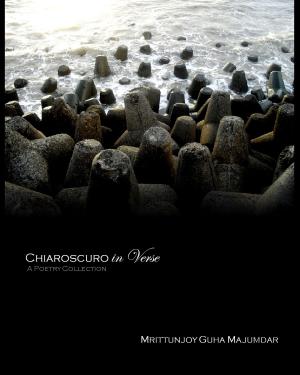 Cover of the book Chiaroscuro in Verse by Andrew James Smith