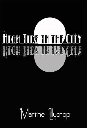 bigCover of the book High tide in the City by 