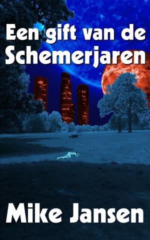 Cover of the book Een gift van de schemerjaren by Robin D. Laws