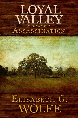 Cover of the book Loyal Valley: Assassination by K.D. Langston