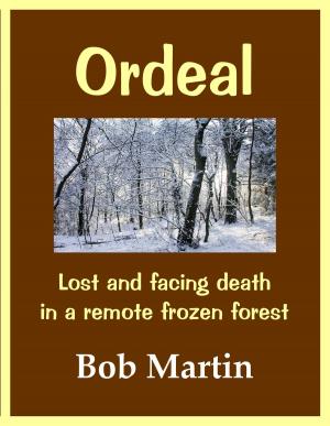Book cover of Ordeal: Lost And Facing Death In A Remote Frozen Forest