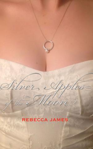 bigCover of the book Silver Apples of the Moon by 