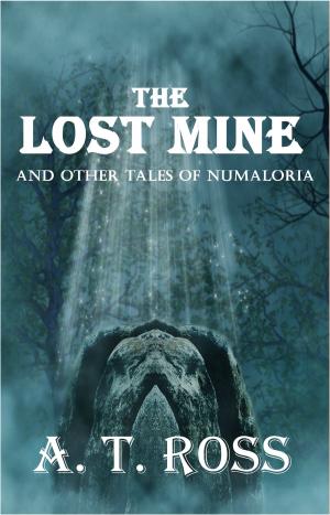 Book cover of The Lost Mine and Other Tales of Numaloria