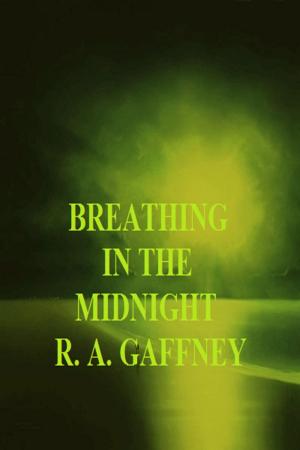 Book cover of Breathing in the Midnight