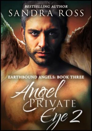 Book cover of A Hearth For the Weary: Angel Private Eye 2