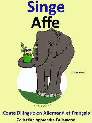 Book cover of Conte Bilingue en Français et Allemand: Singe - Affe (Collection apprendre l'allemand)
