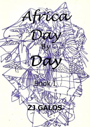 Book cover of Africa Day by Day