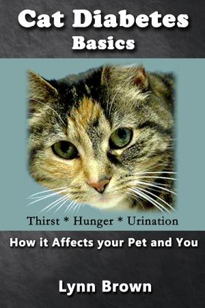 Cover of Cat Diabetes Basics