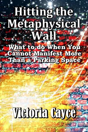 Cover of the book Hitting the Metaphysical Wall: What to do When You Cannot Manifest More Than a Parking Space by Chrystine Julian