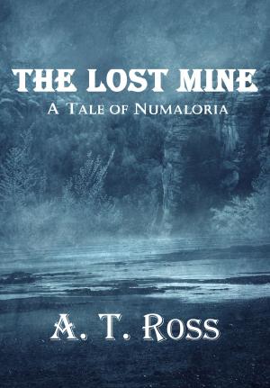 Book cover of The Lost Mine