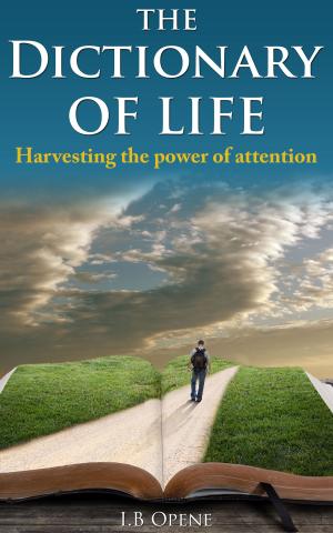 Book cover of The Dictionary Of Life: Harvesting The Power Of Attention