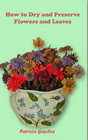 Book cover of How to Preserve and Dry Flowers and Leaves