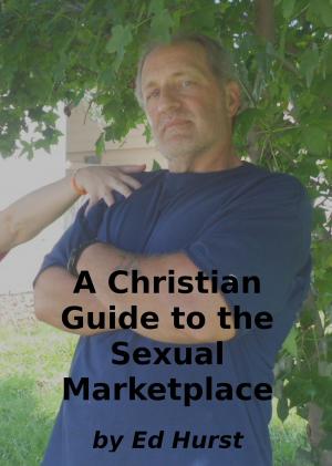 Book cover of A Christian Guide to the Sexual Marketplace