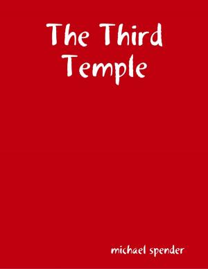 Cover of the book The Third Temple by John Everson, Tim Waggoner, JG Faherty