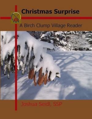 Cover of the book Christmas Surprise: A Birch Clump Village Reader by Mason Carstairs